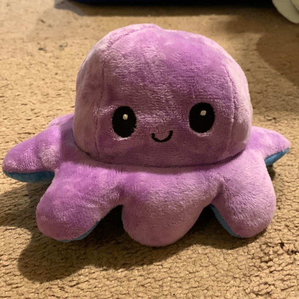 Reversible Octopus Plushie.